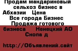 Продам мандариновый сельхоз-бизнес в Абхазии › Цена ­ 1 000 000 - Все города Бизнес » Продажа готового бизнеса   . Ненецкий АО,Снопа д.